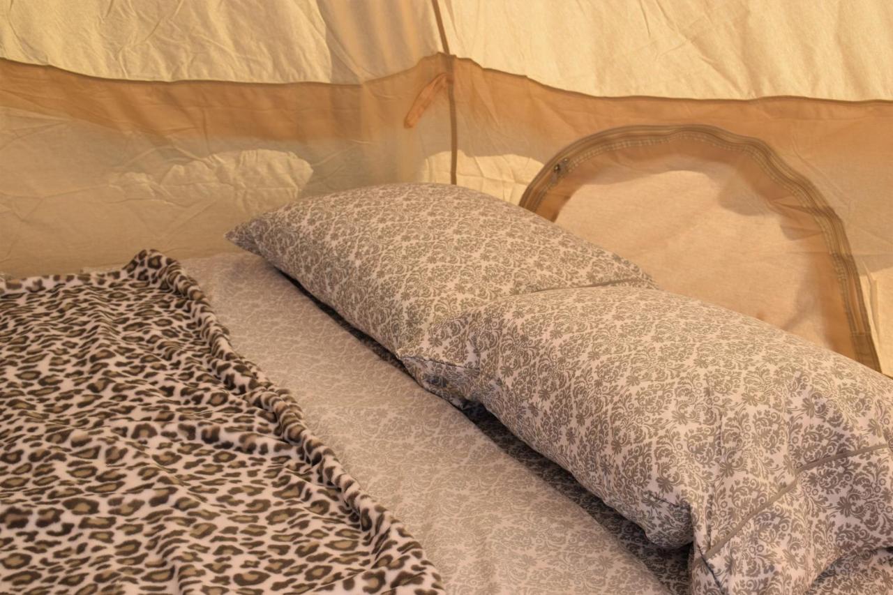 Starlight Tent 2 โฮลบรุค ภายนอก รูปภาพ